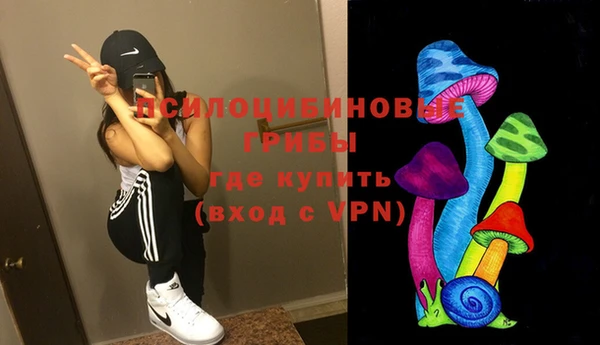 соль курить ск Заводоуковск